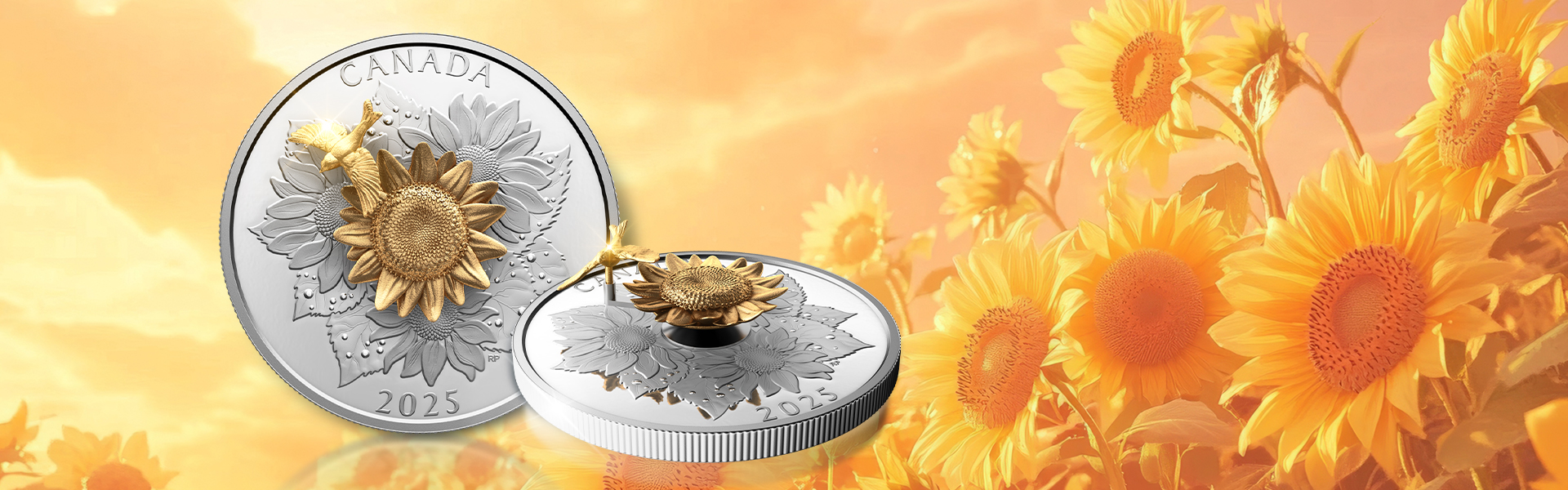 CANADIAN GILDED SILVER COIN