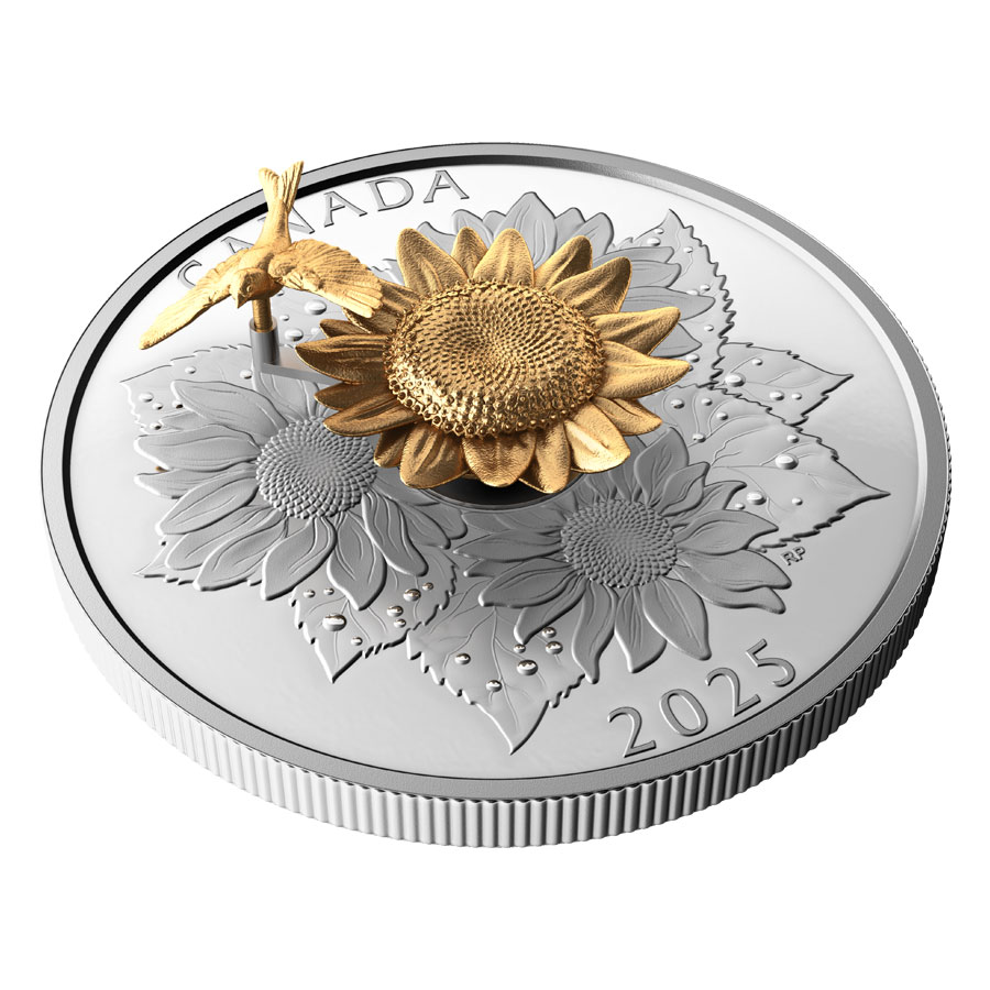 87ac6d552f91368150d6d2ef92a79eb4